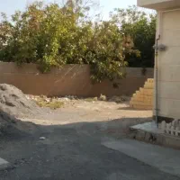 زمین