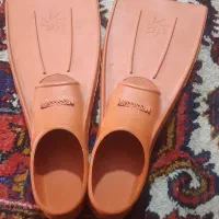فین آموزش شنا