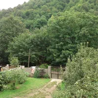 ویلا ماسوله اجاره ماهانه هم اجاره دادمیشه|اجارهٔ کوتاه‌مدت ویلا و باغ|ماسوله, |دیوار