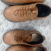 کفشا تمیز در حد نو|کیف، کفش، کمربند|بیرجند, |دیوار