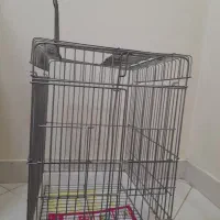 قفس ۱۰۳۲ و ۱۰۳۳ میله ضخیم