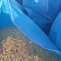 جو محلی -آب خورده -درجه یک برا  بذر و دام|خدمات باغبانی و درختکاری|مرودشت, رودبال|دیوار