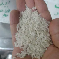 برنج|خوردنی و آشامیدنی|میاندوآب, |دیوار