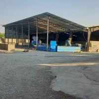 اجاره سوله برای صادرات سبزی