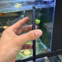 12normal|موبایل|شیراز, زند|دیوار