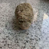 فسیل صدفی دو کفه ای برای 23 میلیون سال قبل|کلکسیون اشیاء عتیقه|قم, انسجام|دیوار