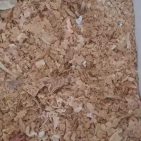 نان خشک|حیوانات مزرعه|فردوس (خراسان), |دیوار