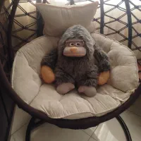 گوریل تپل بامزه و عروسک یک متری ملوس