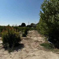 فروش-یک-قطعه-زمین-دو-هزار-متری