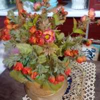 تعداد وسایل خونه|جاکفشی، کمد، دراور|رشت, شهرک صبا|دیوار