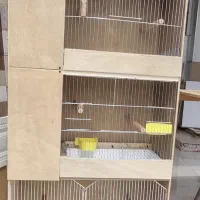 قفس چوبی وعروس هلندی