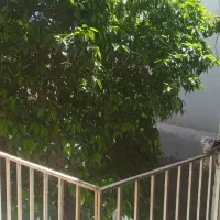 اجاره-خانه-سوئیت-اتاق-اقتصادی