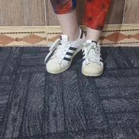 کفش|کیف، کفش، کمربند|بیرجند, |دیوار