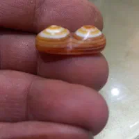 عقیق دو کوهان .سه.پوست.تراش.اصلی|بدلیجات|تهران, نیروی هوایی (پیروزی)|دیوار