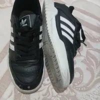 کفش بچه گانه پسرانه|کفش و لباس بچه|شیراز, شریف‌آباد|دیوار