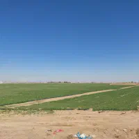 فروش زمین ۱۰۰۰ متری در مورچه خورت