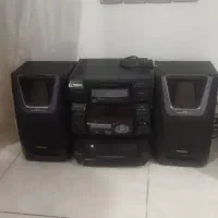 ضبط دو باند پاناسونیک