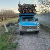 خرید چوب در باغات