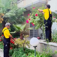 ایجاد فضای سبز ۴ فصل سبز گلدار و میوه دار|خدمات باغبانی و درختکاری|فلاورجان, |دیوار