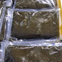 فروش عمده قورمه سبزی معطر گیلان پخش مستقیم|خوردنی و آشامیدنی|ری, شهرک نظامی|دیوار