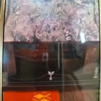 طرح شومینه