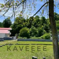 پشت جنگلی نور+زمین باسندمسکونی ششدانگ