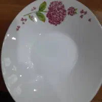 چینی زرین|ظروف سرو و پذیرایی|کرج, کرج نو|دیوار