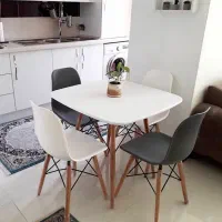 میز چوبی و صندلی نهار خوری پلاستیکی کد ۷۱۸