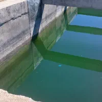 کار پرورش ماهی یا گلخانه مشارکتی|ماهی|جهرم, |دیوار