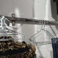 رگال قوطی و چو کار