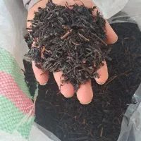 چای ممتاز .چای لیزری.چای قلم درجه یک