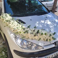 ماشین عروس|گل و گیاه طبیعی|شیراز, خلدبرین|دیوار