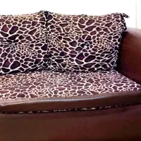 مبل|مبلمان خانگی و میز عسلی|کرمان, |دیوار