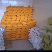 فروش فوق العاده مقدار محدودی از بهترین برنج شمال