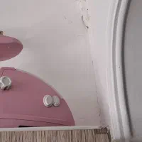 چرخ گوشت ابمیوه گیر سرخکن پلوپز