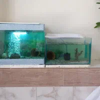 اکواریوم همراه وسایل