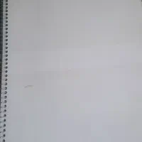 کاغذ باطله|عمدهفروشی|شیراز, فرهنگ شهر|دیوار