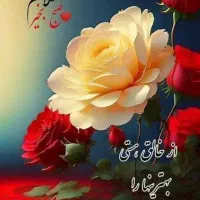 خط سیم کارت