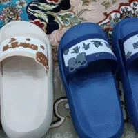 دمپایی، صندل
