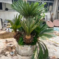 فروش-ویلایی-216-متری-در-معلم-فاز-یک