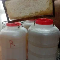عسل بهارنارنج