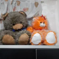 عروسک خرسی سالم سالم