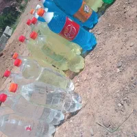شوینده