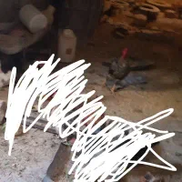 فروش