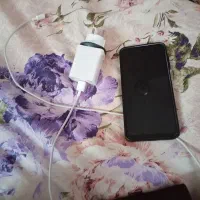 گوشی a16|موبایل|تربت جام, شیخ احمد جامی|دیوار