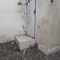 مرغداری ۱۰ هزارتایی کوهین