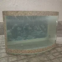 آکواریوم شیشه خم