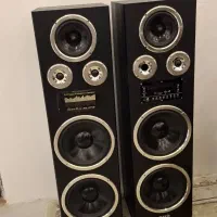 یک جفت باند سالم