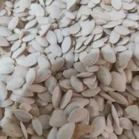 پسته تخمه کدو لاری دو آتیشه کدو نمکی بادام