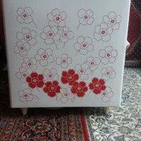 لباسشویی دوقلو ناسیونال